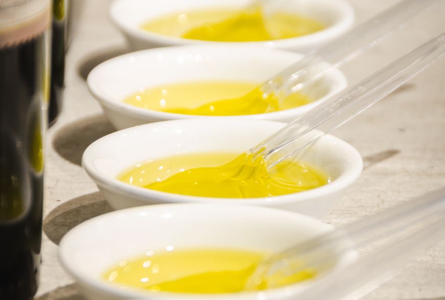 cata aceite oliva