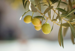 Aceite De Oliva